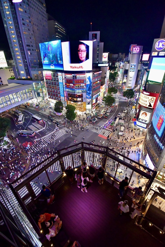 CROSSING VIEW & ROOFTOP LOUNGE MAG8
