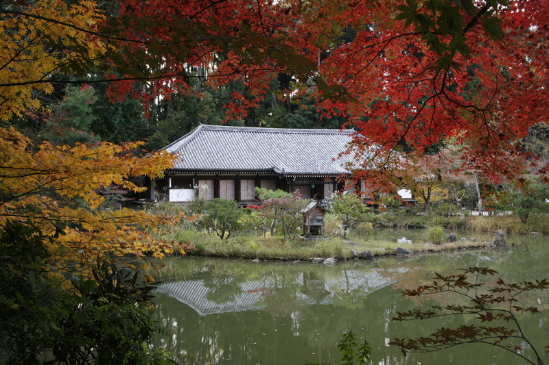 浄瑠璃寺九体阿弥陀堂　画像提供：飛鳥園